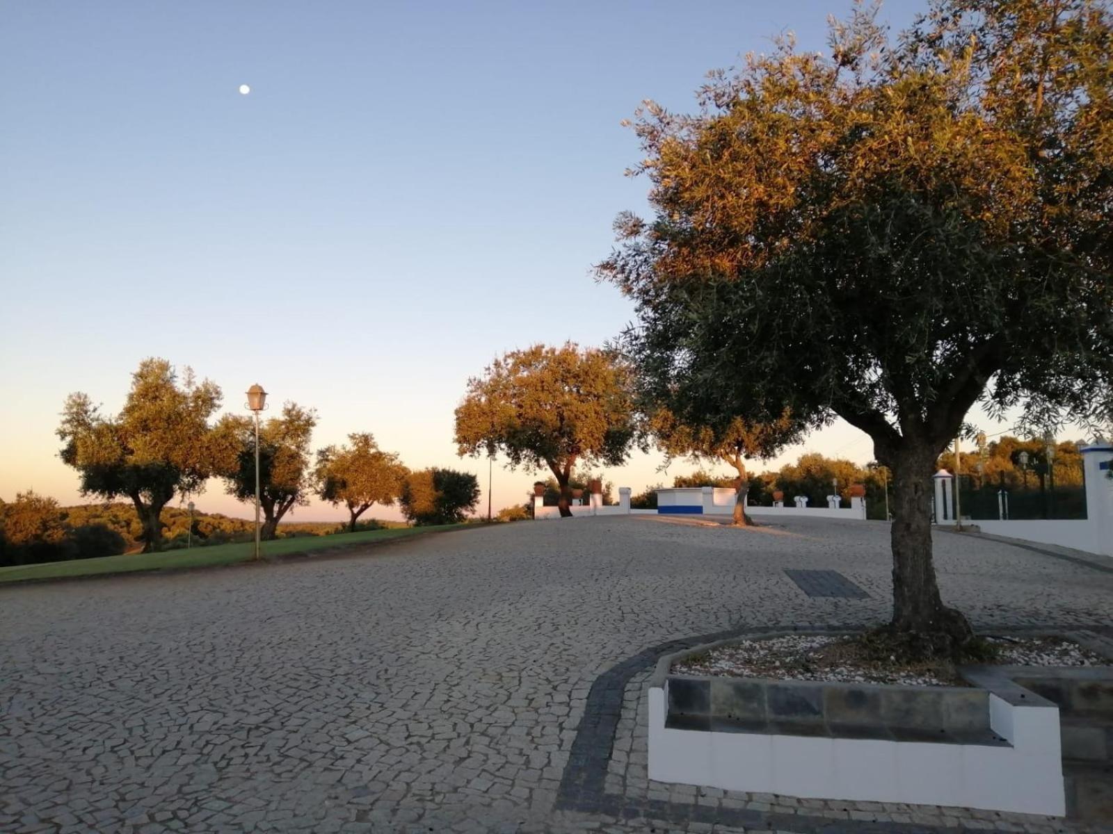 Bed and Breakfast Monte Da Pechincha Estremoz Exteriér fotografie